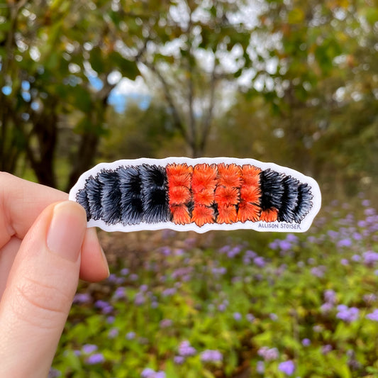 Hand holding a sticker with a woolly bear caterpillar against a natural background with trees and flowers.