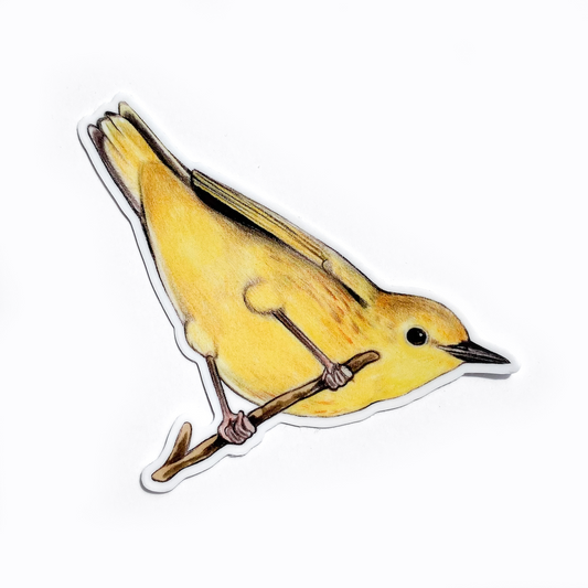 Yellow Warbler Weatherproof Vinyl Sticker