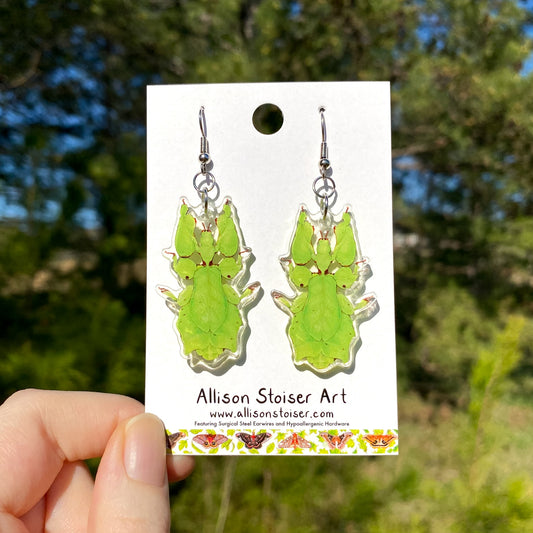 acrylic earrings with leaf insect charms