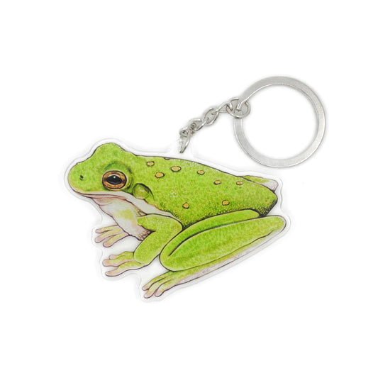 A keychain of an American green tree frog on a white background.