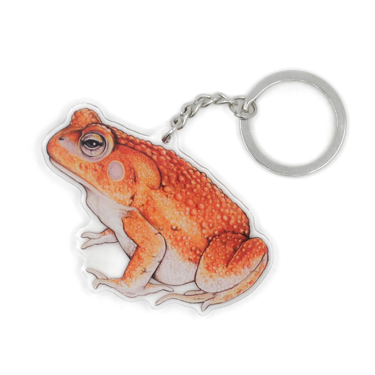 A keychain of an American toad on a white background.