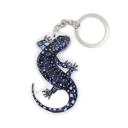 A keychain of a blue-spotted salamander on a white background.