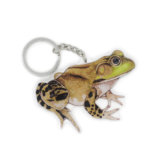 A keychain of an American bullfrog on a white background.