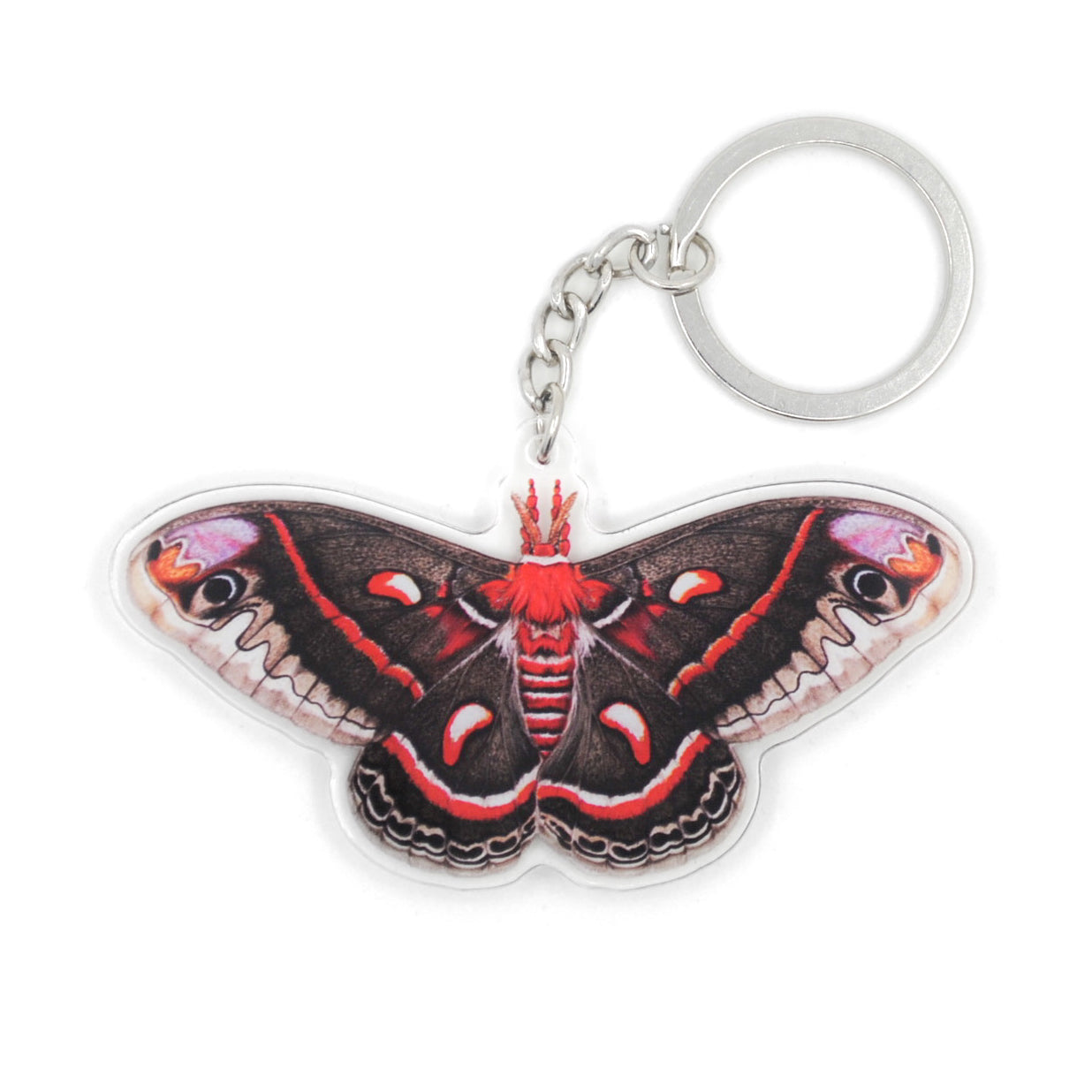 A keychain featuring an illustration of a cecropia moth