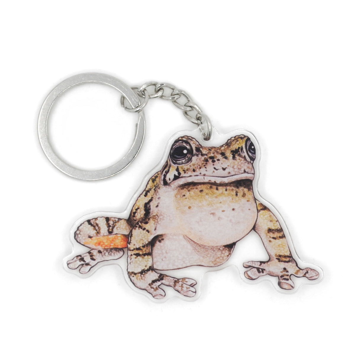 A keychain of a Cope's gray tree frog on a white background.