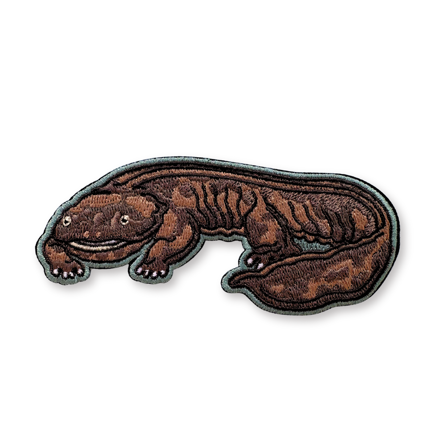 Hellbender embroidered patch with a blue border