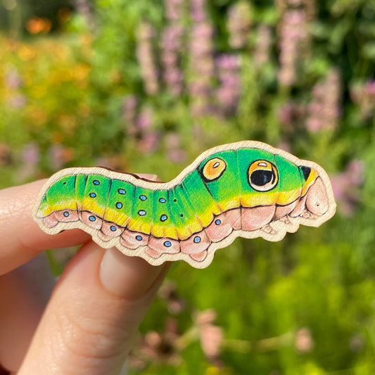 A hand holding a sustainably sourced wooden pin featuring an illustration of a spicebush swallowtail caterpillar