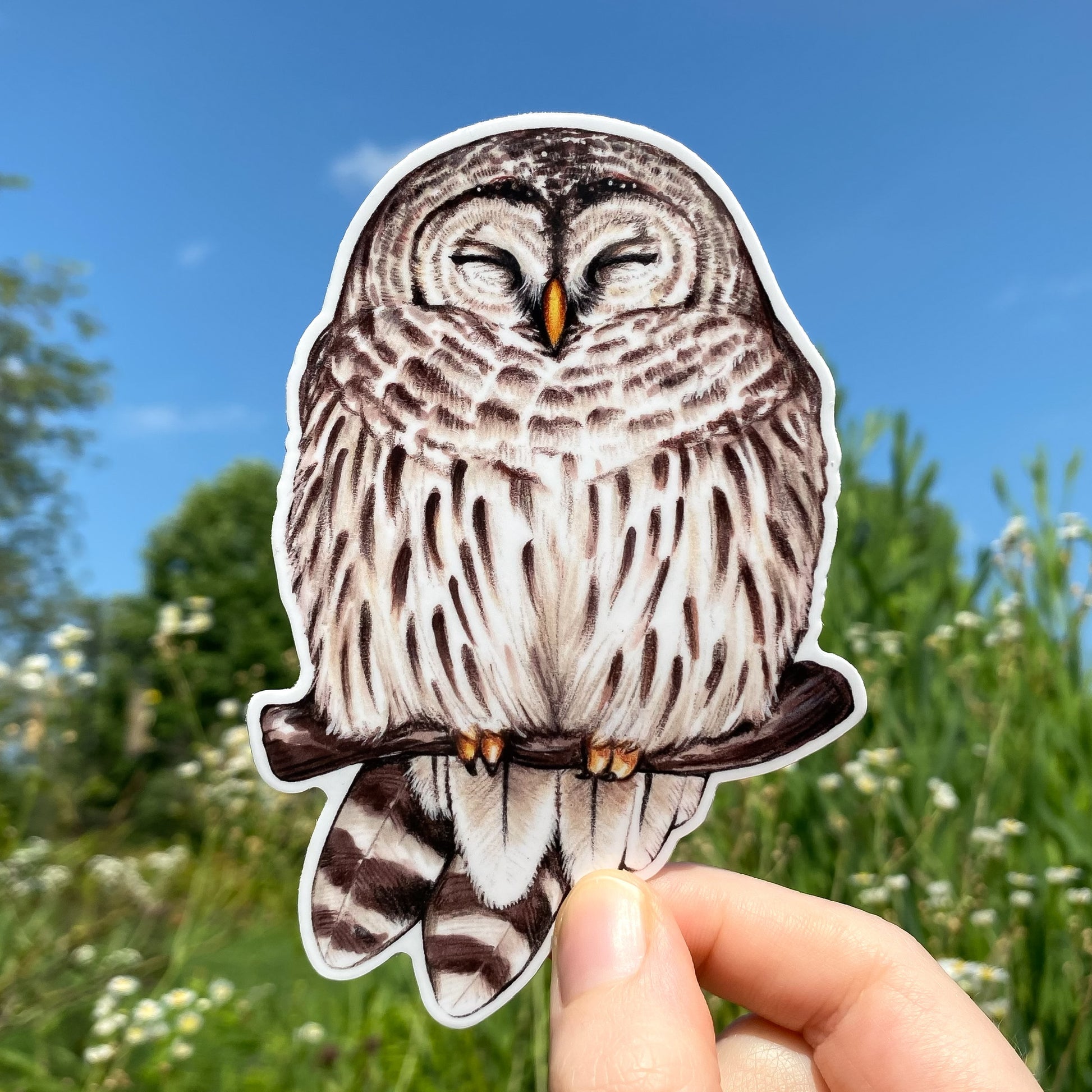 A weatherproof vinyl sticker featuring an illustration of a cozy barred owl