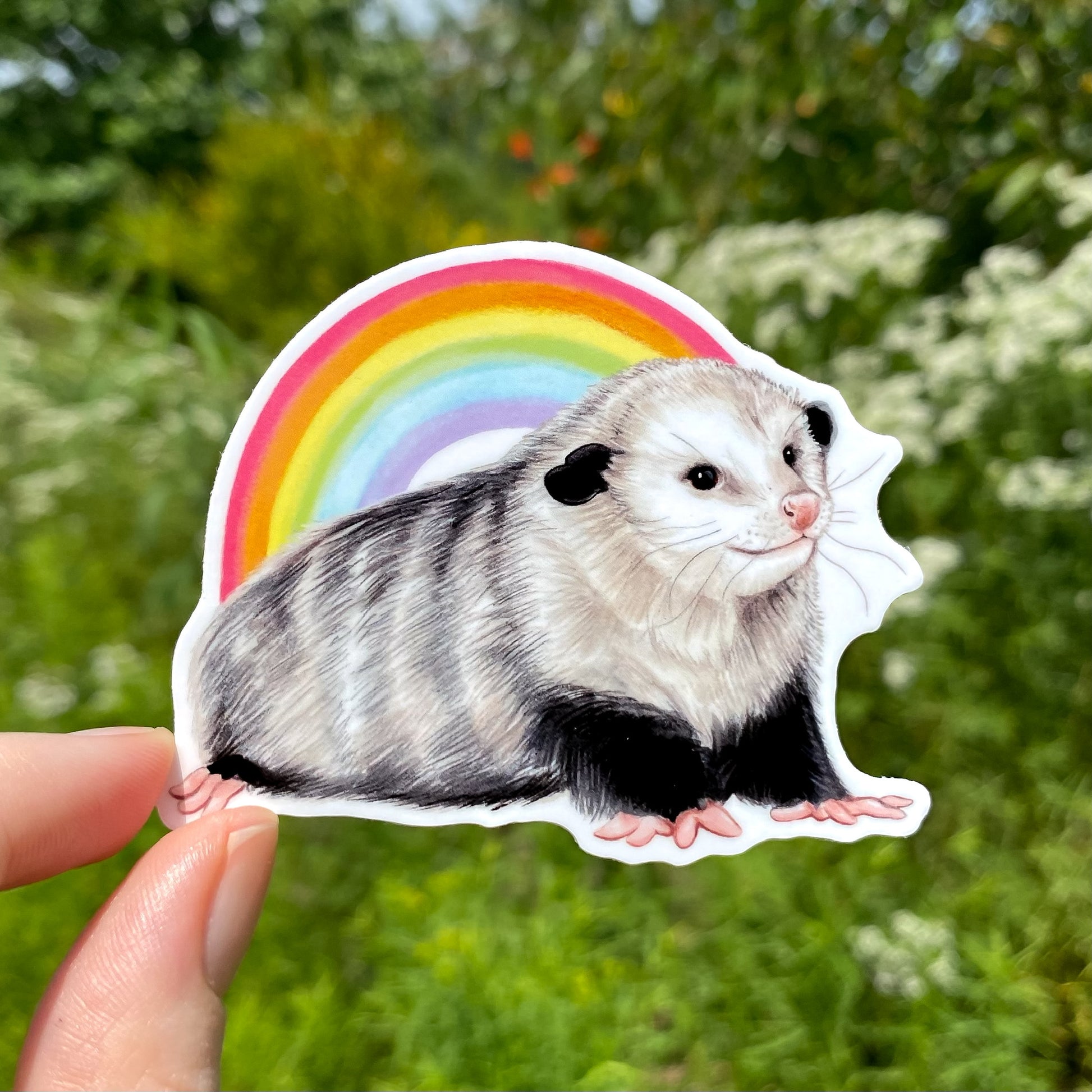 A hand holding a sticker featuring an illustration of an Adélie penguin