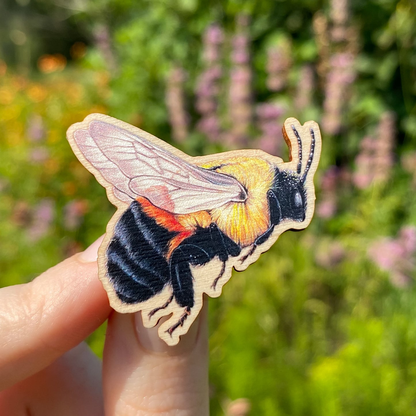 Brown-Belted Bumble Bee Pin
