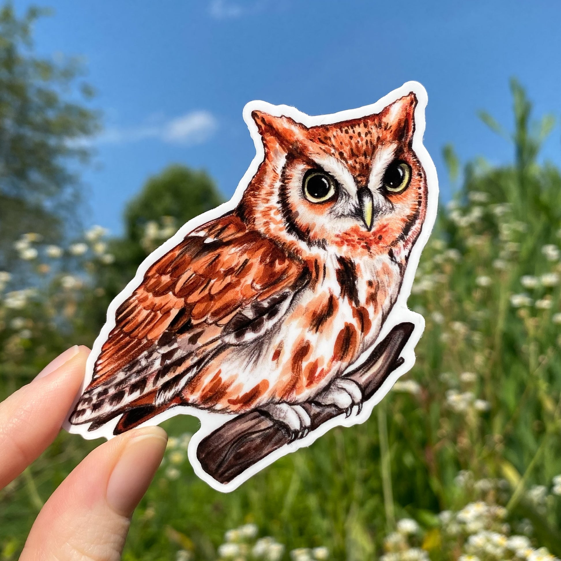 A weatherproof vinyl sticker featuring an illustration of an eastern screech owl