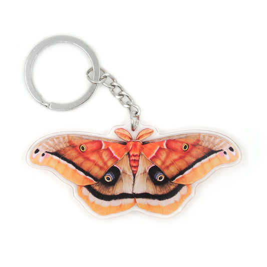 A keychain featuring a Polyphemus moth