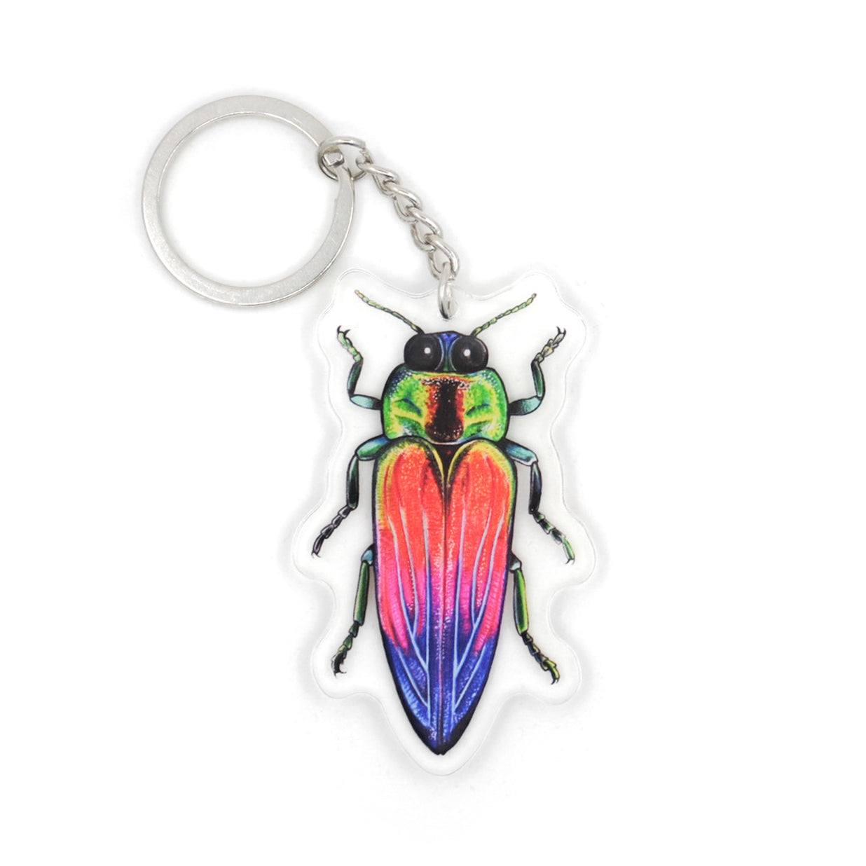 A keychain featuring a rainbow jewel beetle