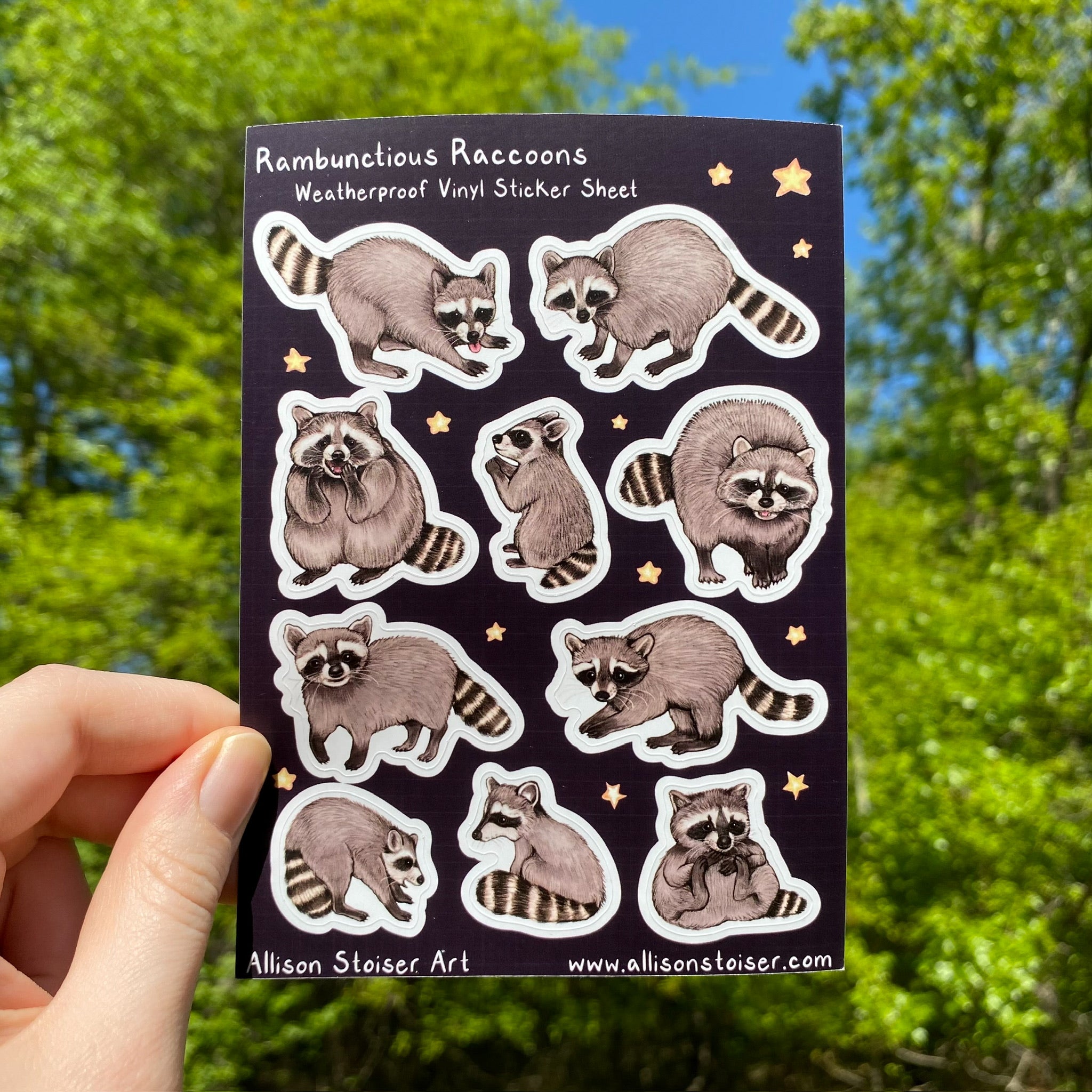Rambunctious Raccoons Weatherproof Vinyl Sticker Sheet – Allison ...