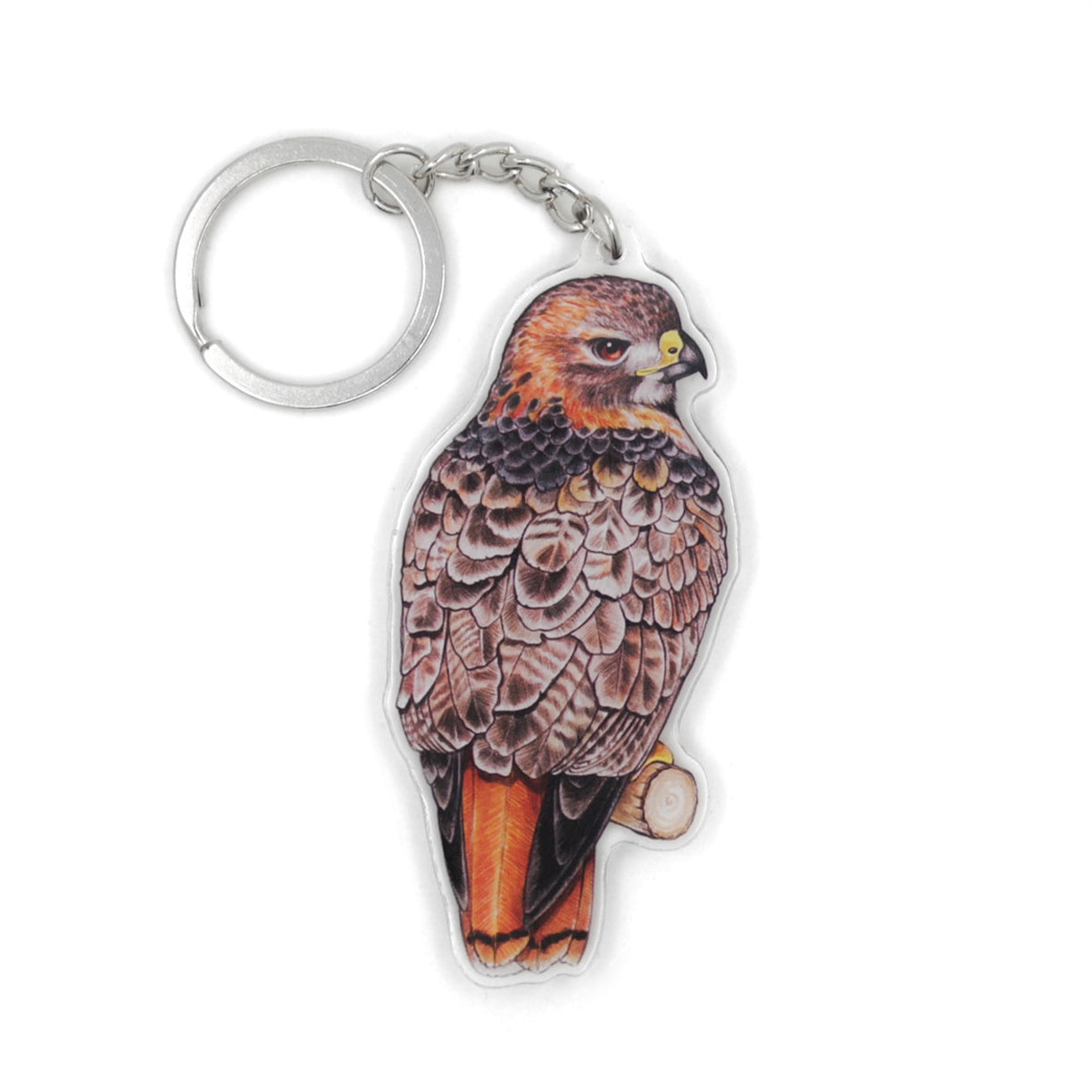 A keychain of a red-tailed hawk on a white background.