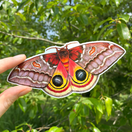 Female Io Moth Weatherproof Vinyl Sticker