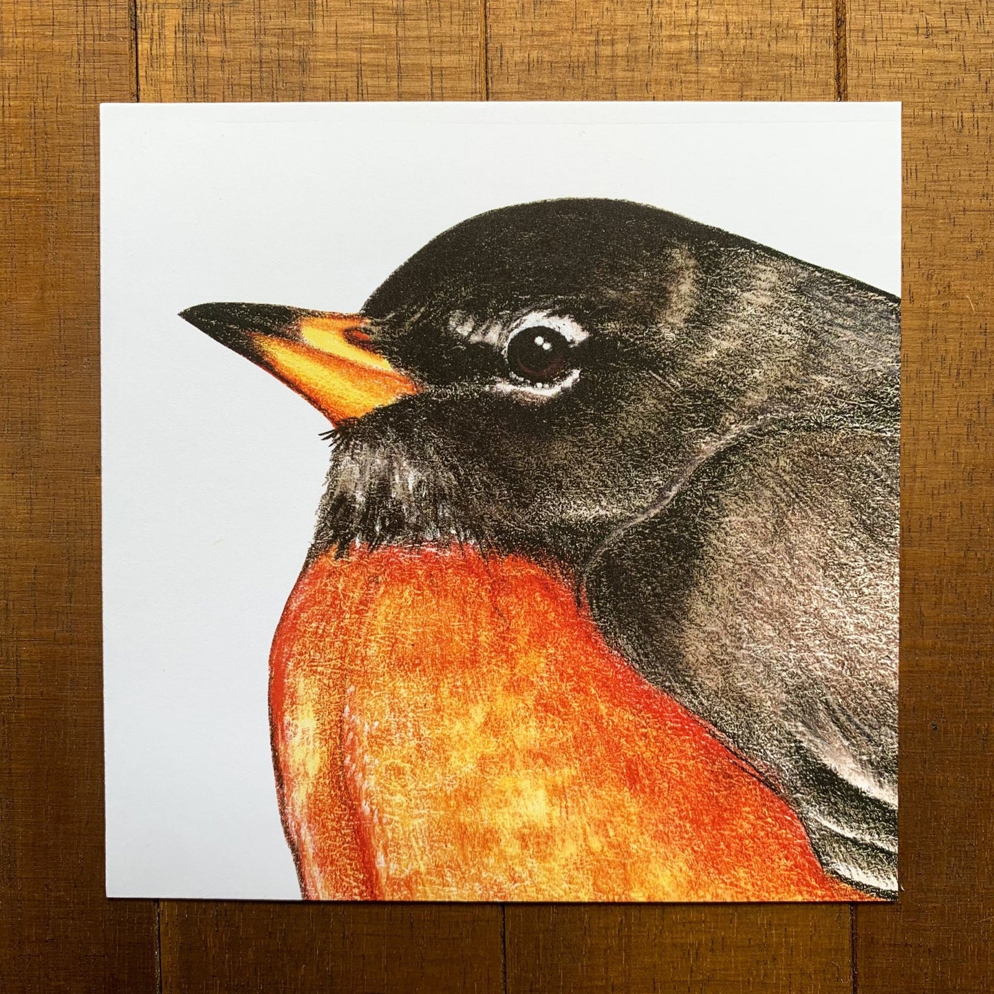 A 5" by 5" print of a portrait of a robin.