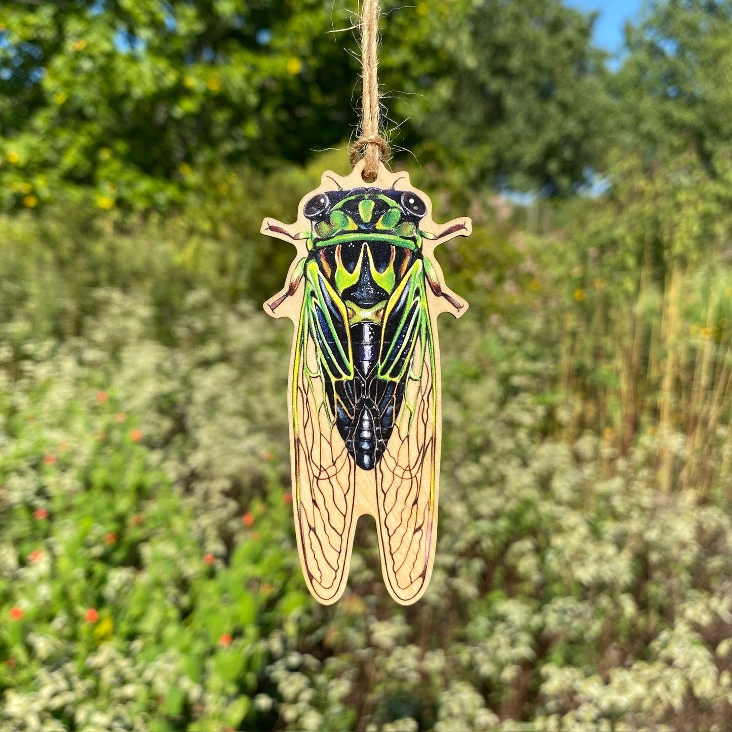 Linne's Cicada Wood Print Ornament