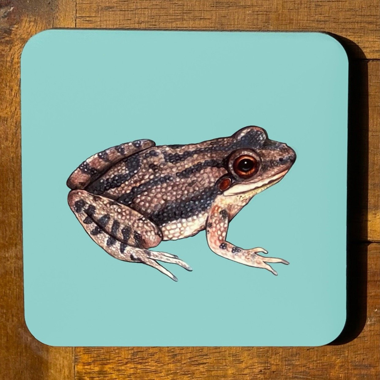 Frog and Toad Coasters (Individuals)