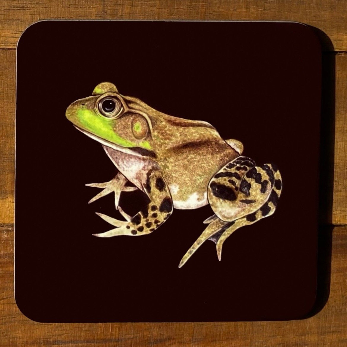 Frog and Toad Coasters (Individuals)