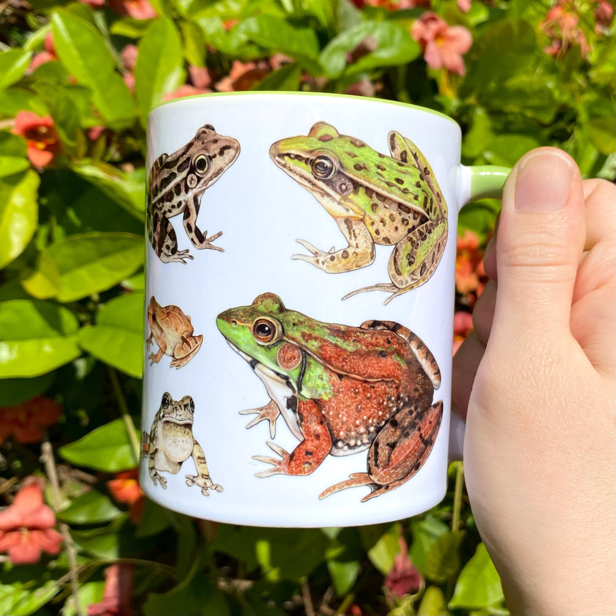 Frogs and Toads Mug – Allison Stoiser Art