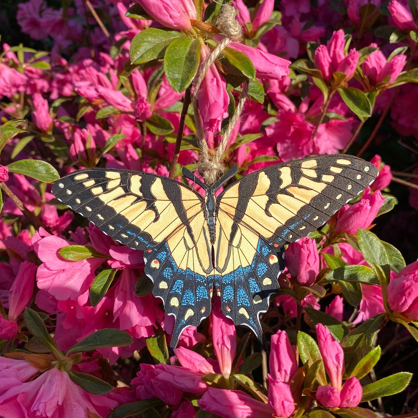 Eastern Tiger Swallowtail Hand-painted Ornament