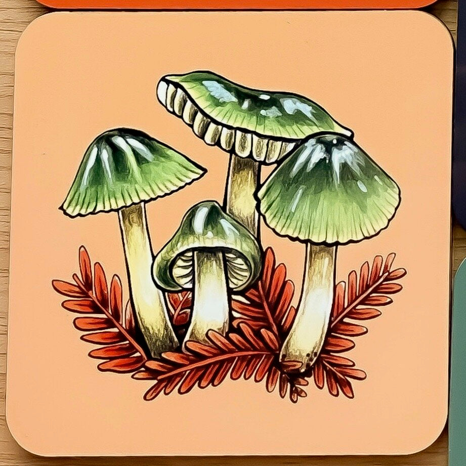 Mushroom coasters