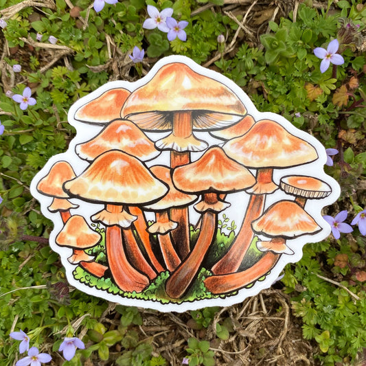 Ringed Honey Mushroom Weatherproof Vinyl Sticker