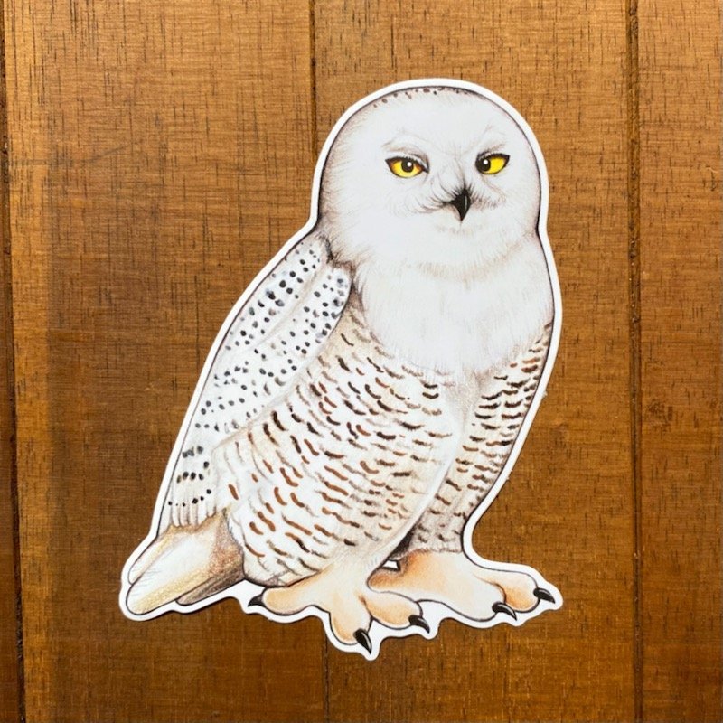 Snowy Owl Weatherproof Vinyl Sticker
