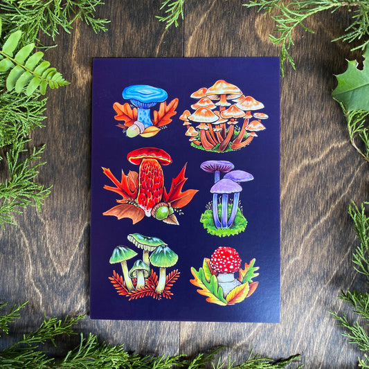 Mushroom Postcard