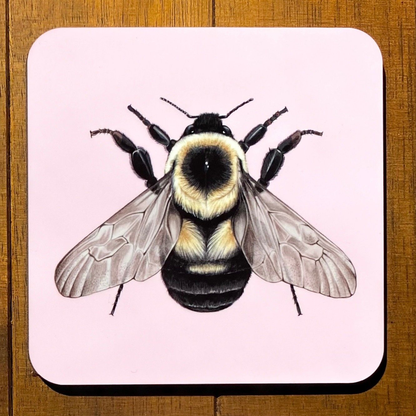 Bee Coasters (Individual)