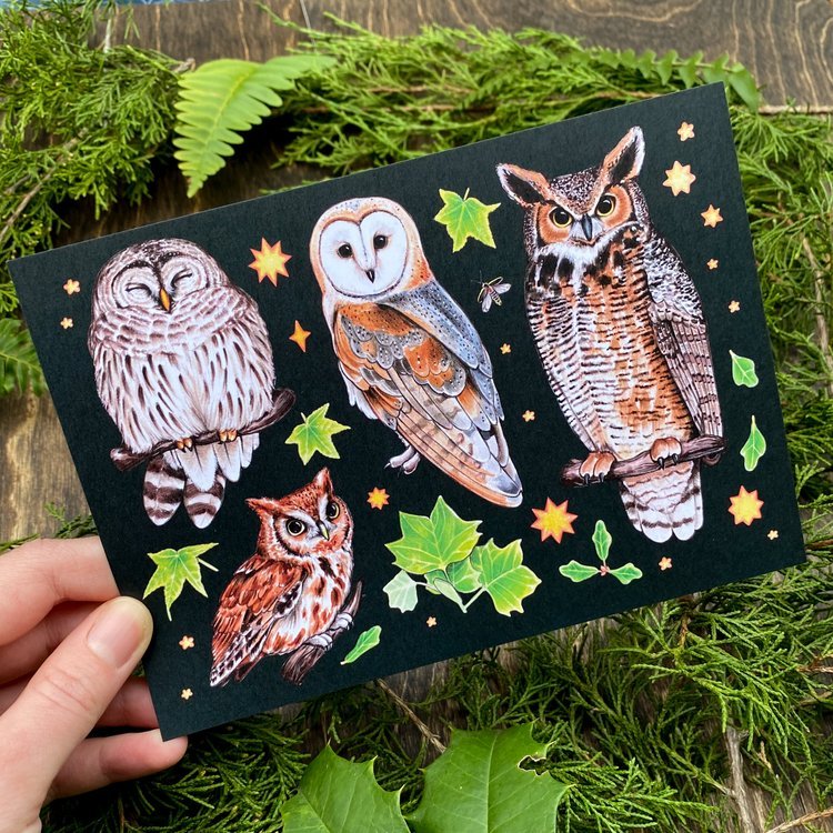 Southern Owls 5” x 7” Print