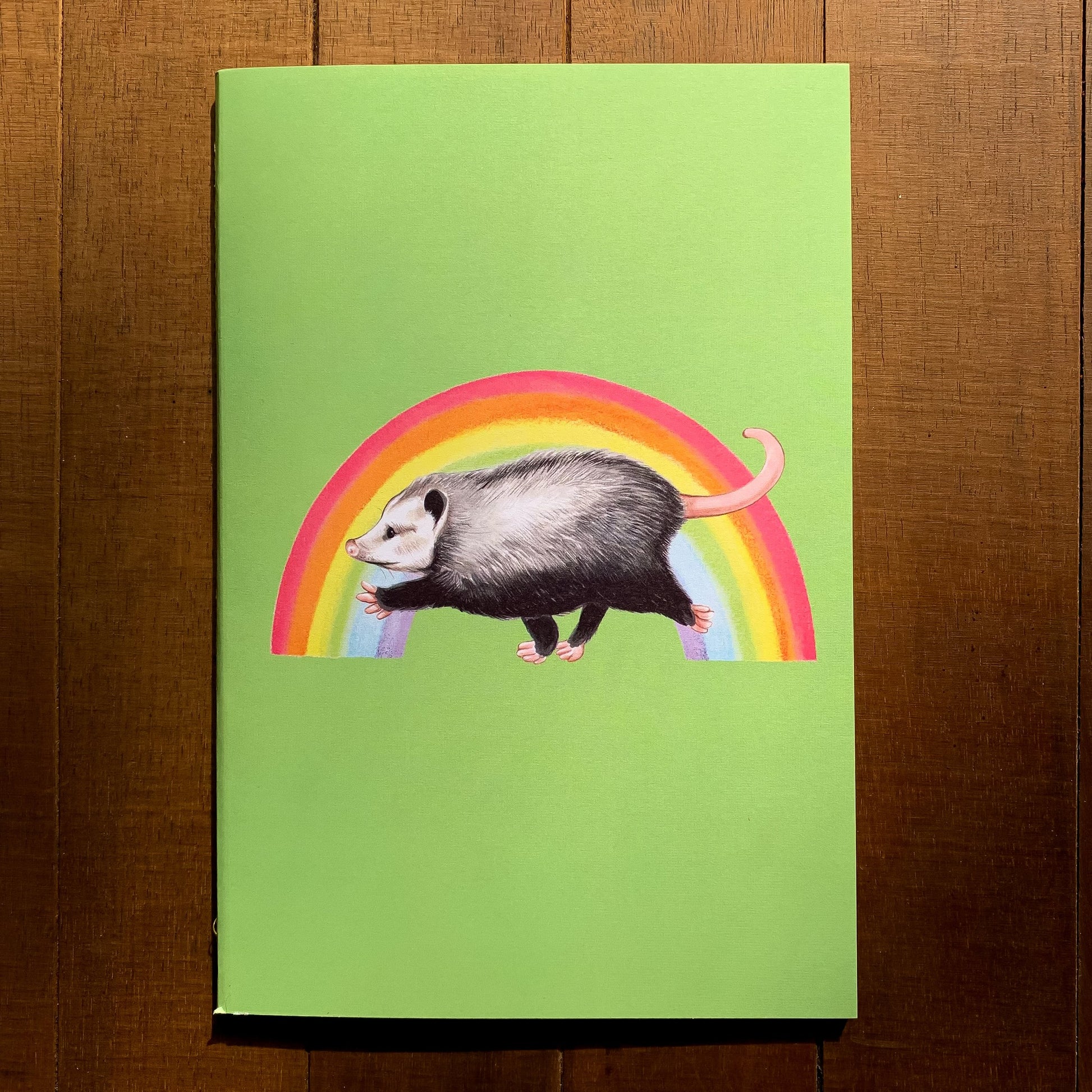 A handmade journal featuring an opossum marching in front of a rainbow with a green background