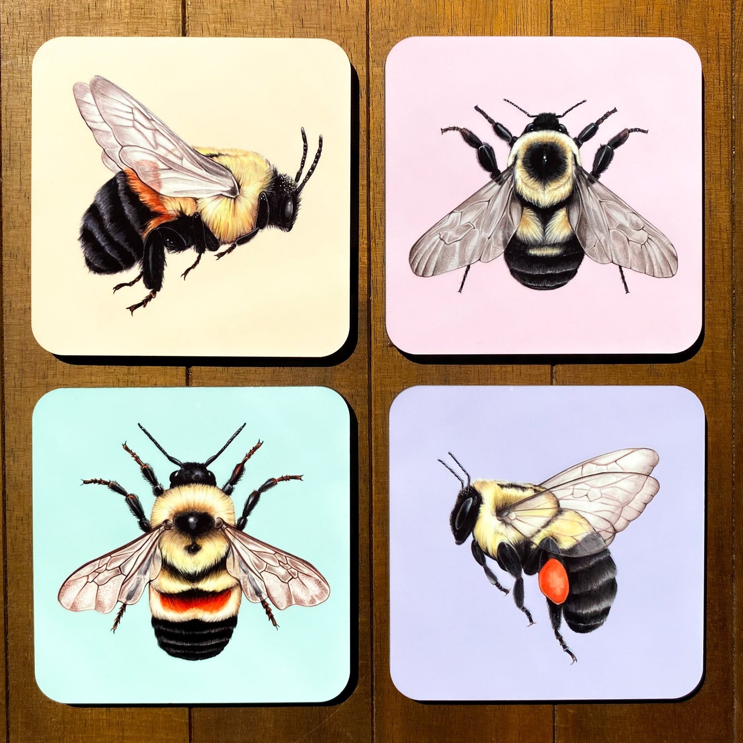Bee Coasters (Full Set)