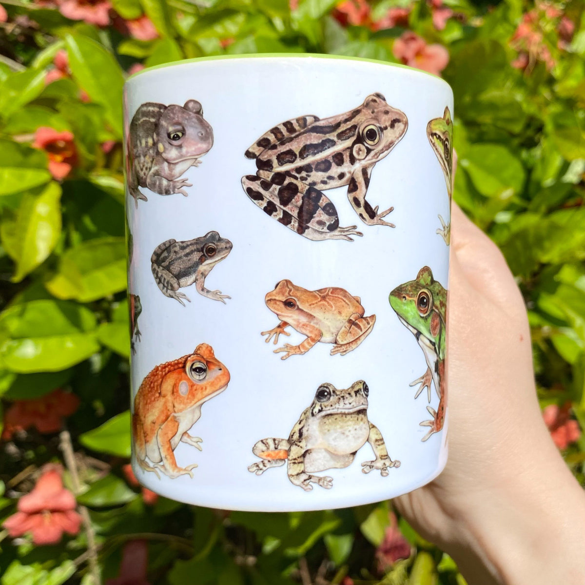 Frogs and Toads Mug – Allison Stoiser Art