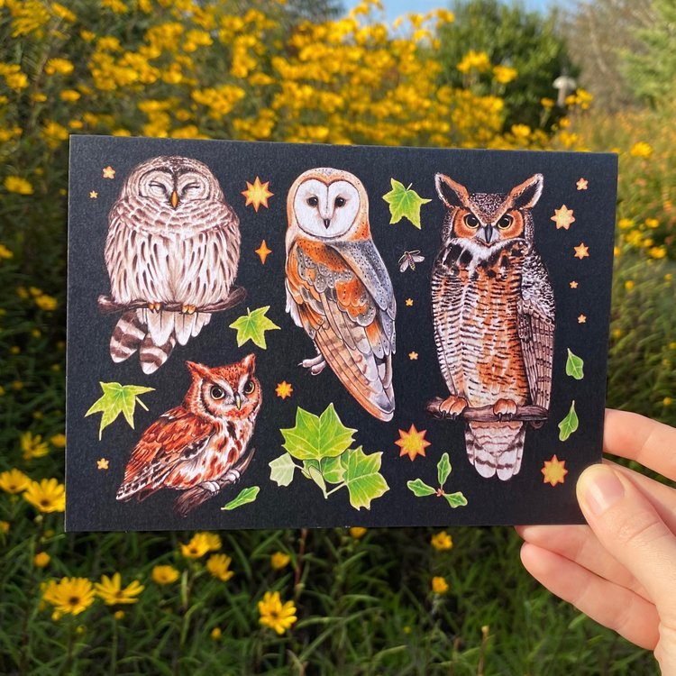 A greeting card featuring a spread of owls from the Southern United States