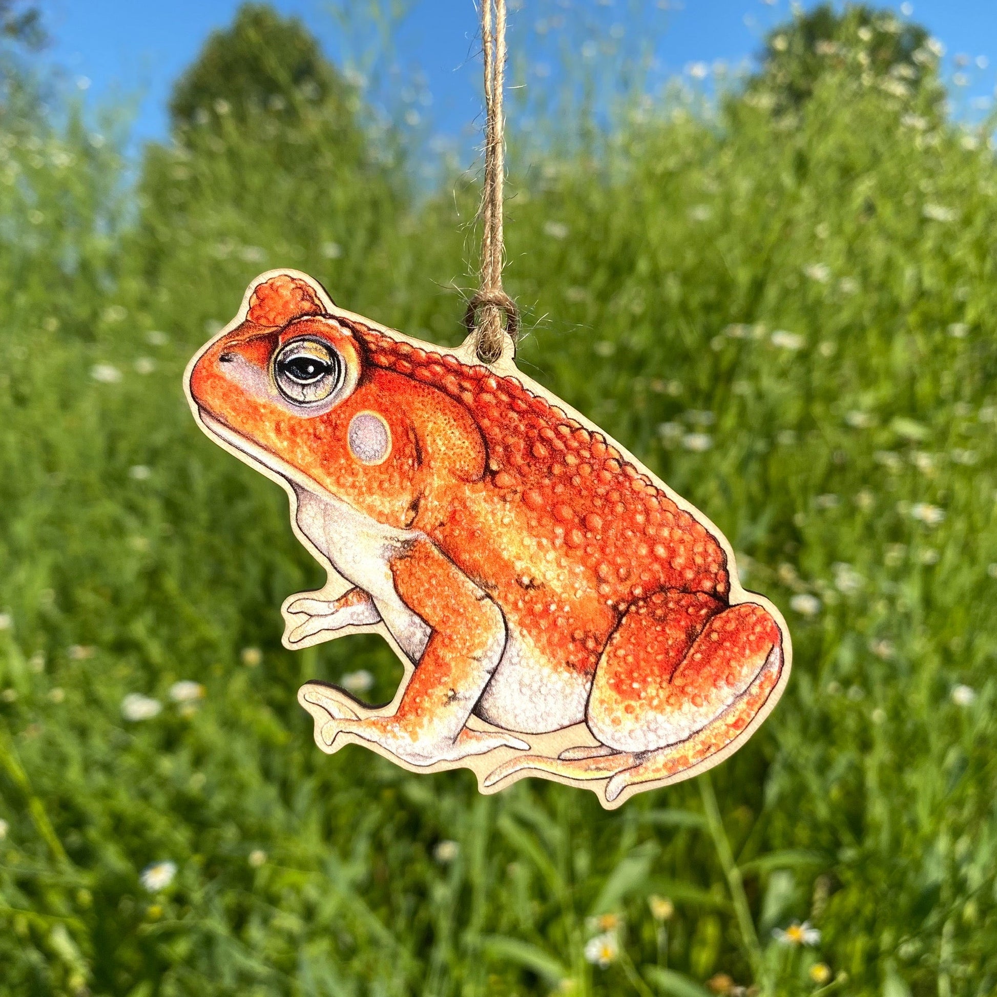 A wooden ornament strung with twine of an American toad.