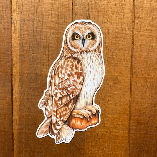 Short-eared Owl Weatherproof Vinyl Sticker