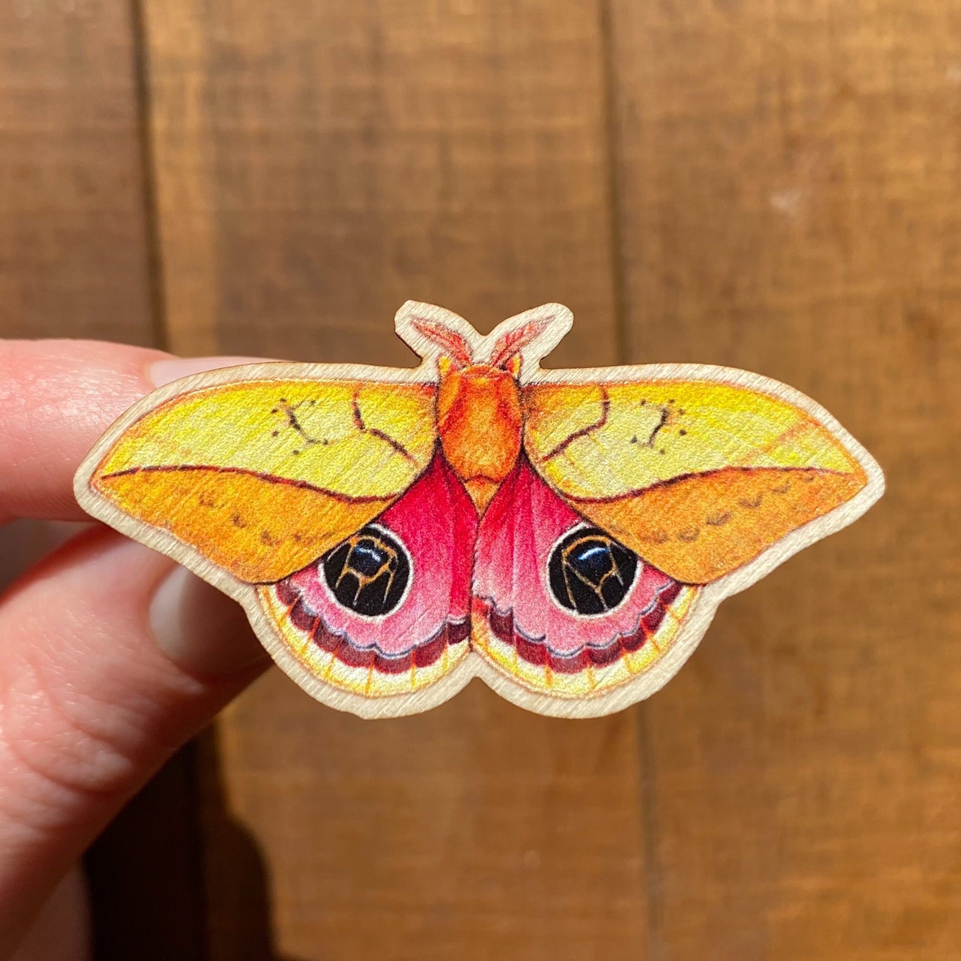 A hand holding a sustainably sourced wooden pin featuring an illustration of an Amazonian silkmoth