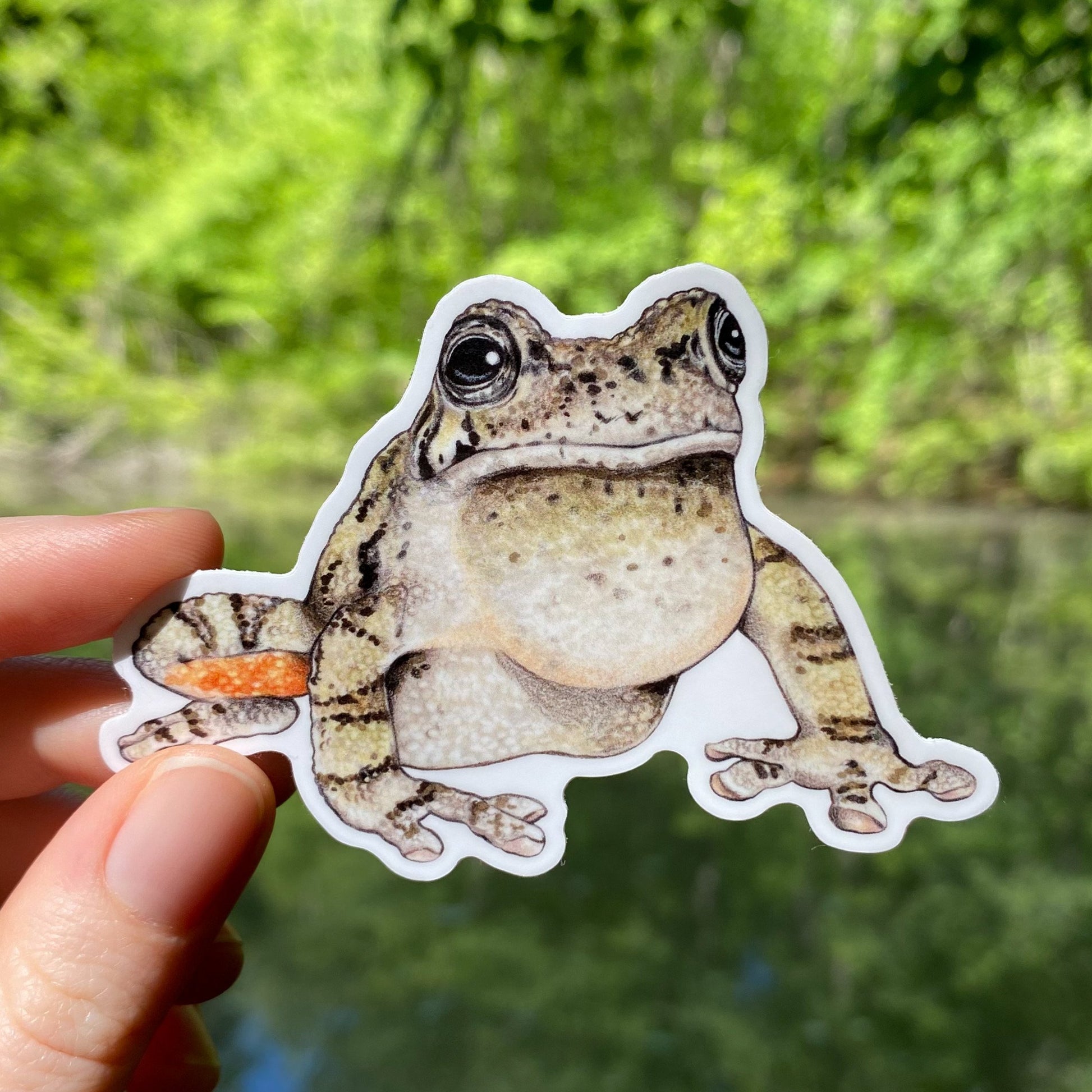 A hand holding a weatherproof vinyl sticker of a gray tree frog.