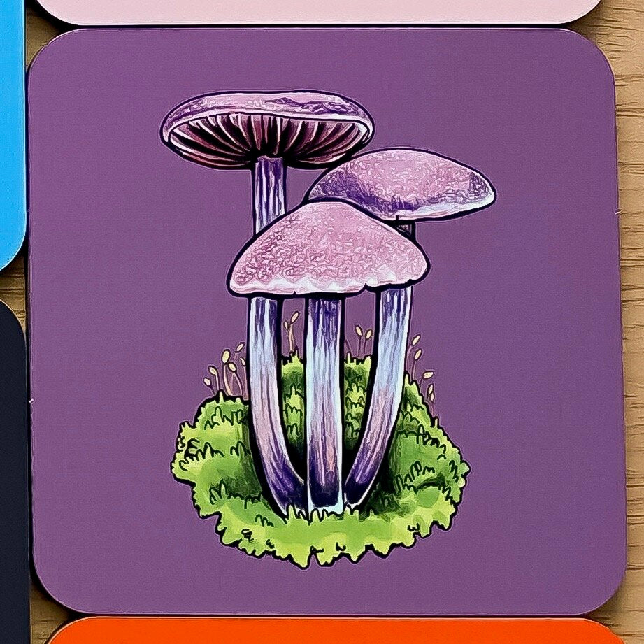 Mushroom Coasters (Entire Set)