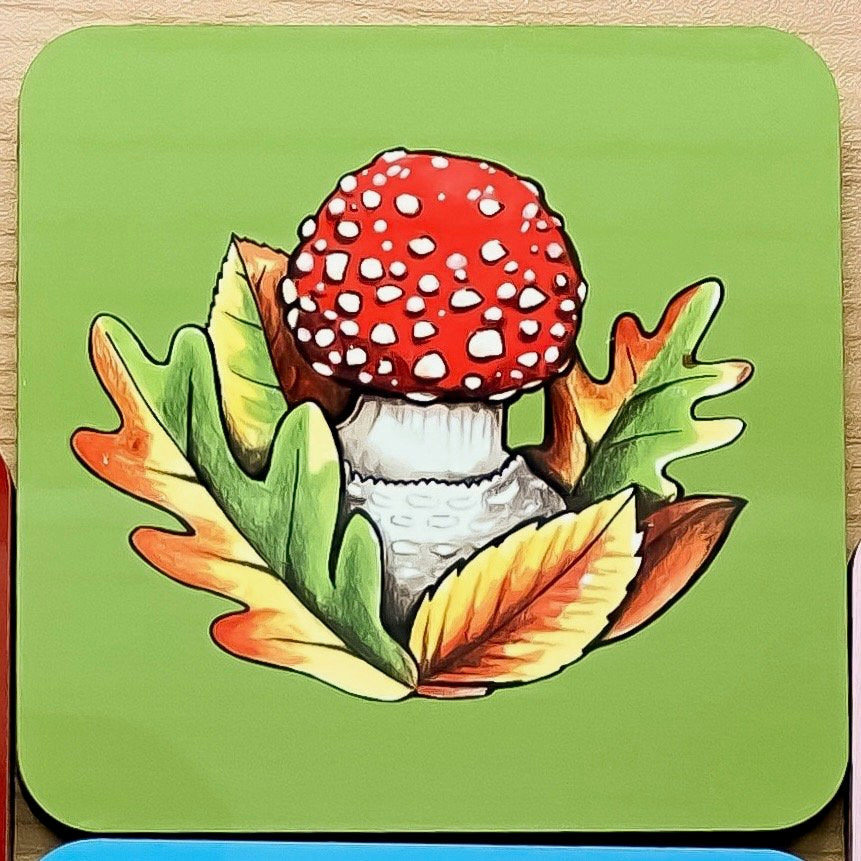 Mushroom coasters