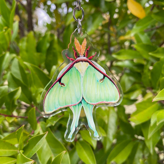 A keychain featuring an illustration of a luna moth