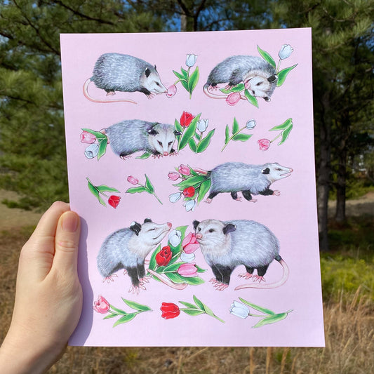 Opossums and Tulips 8" x 10" Print