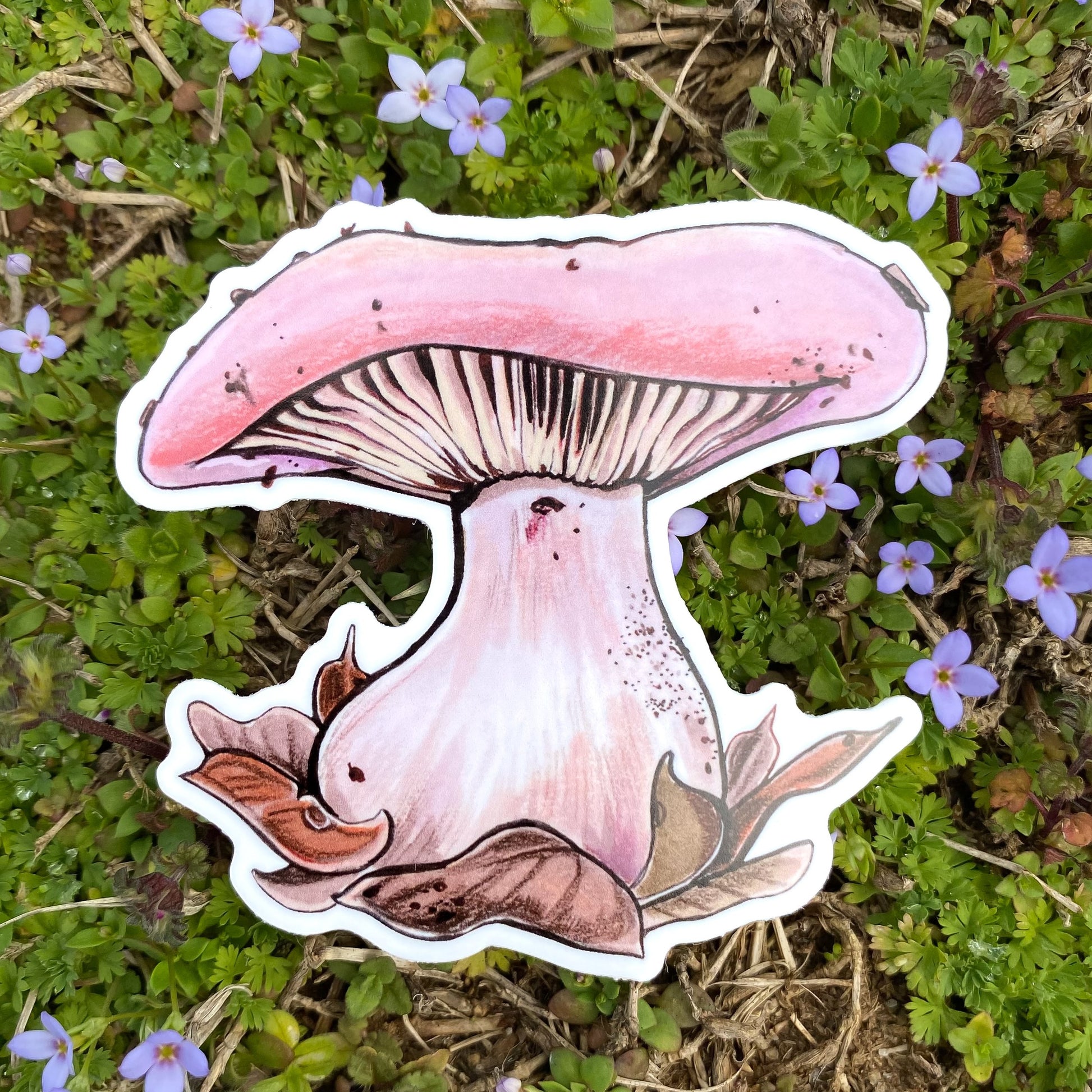 A hand holding a sticker featuring an illustration of a wood blewit mushroom