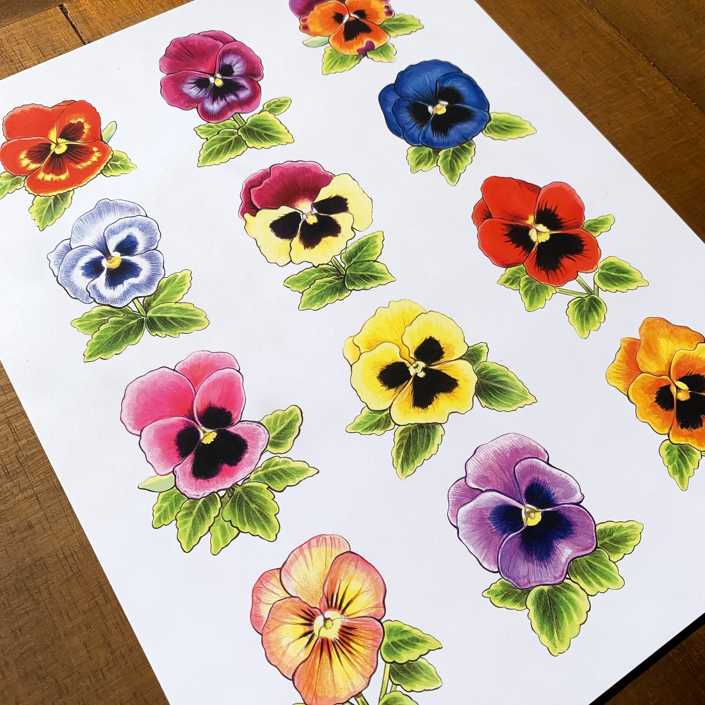 A print featuring an array of colorful pansies