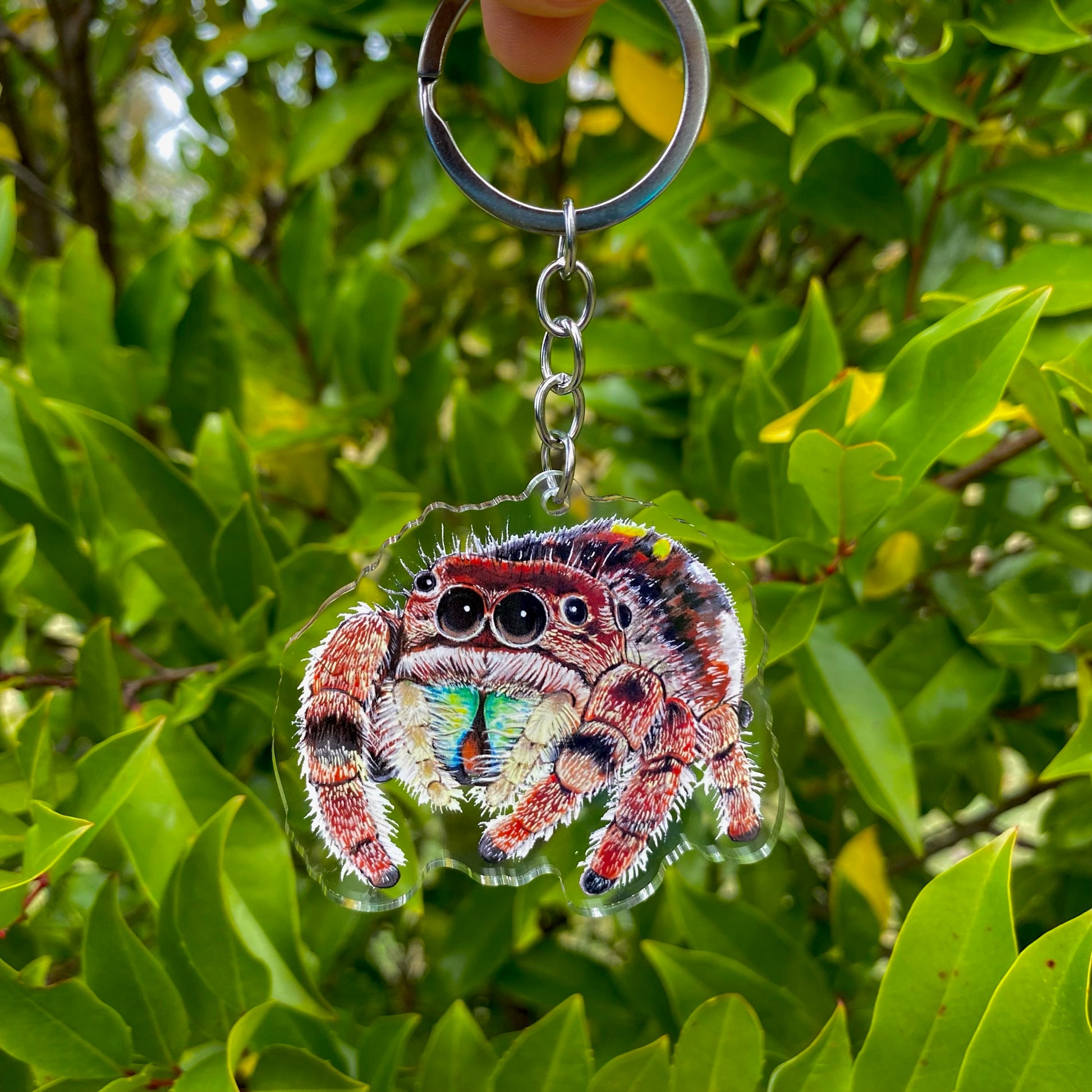 A keychain featuring an illustration of a jumping spider