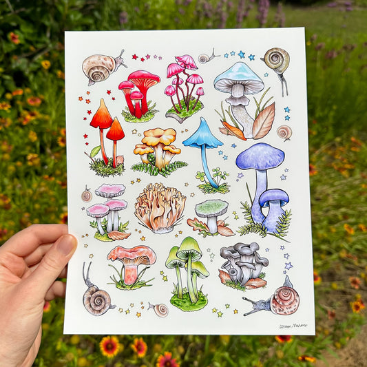 Rainbow Mushrooms and Snails Print (8”x10”)