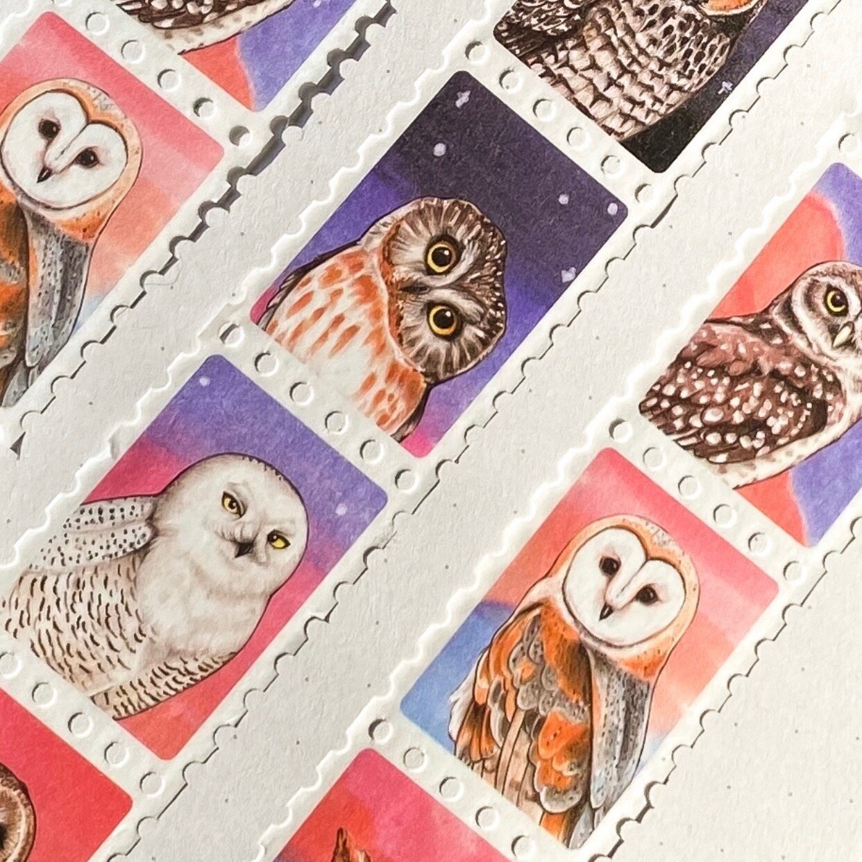 North American Owl Stamp Washi Tape