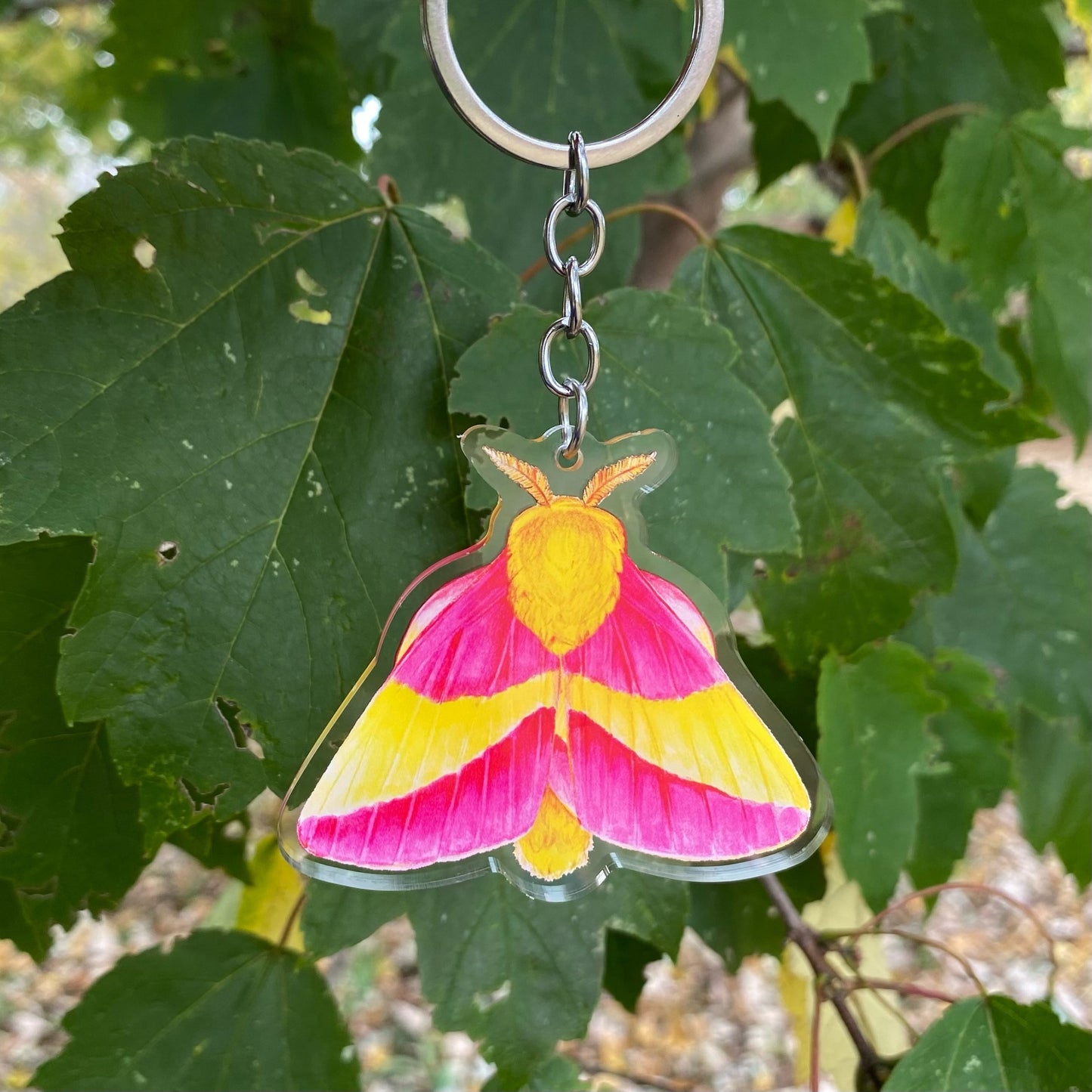 Rosy Maple Moth Keychain